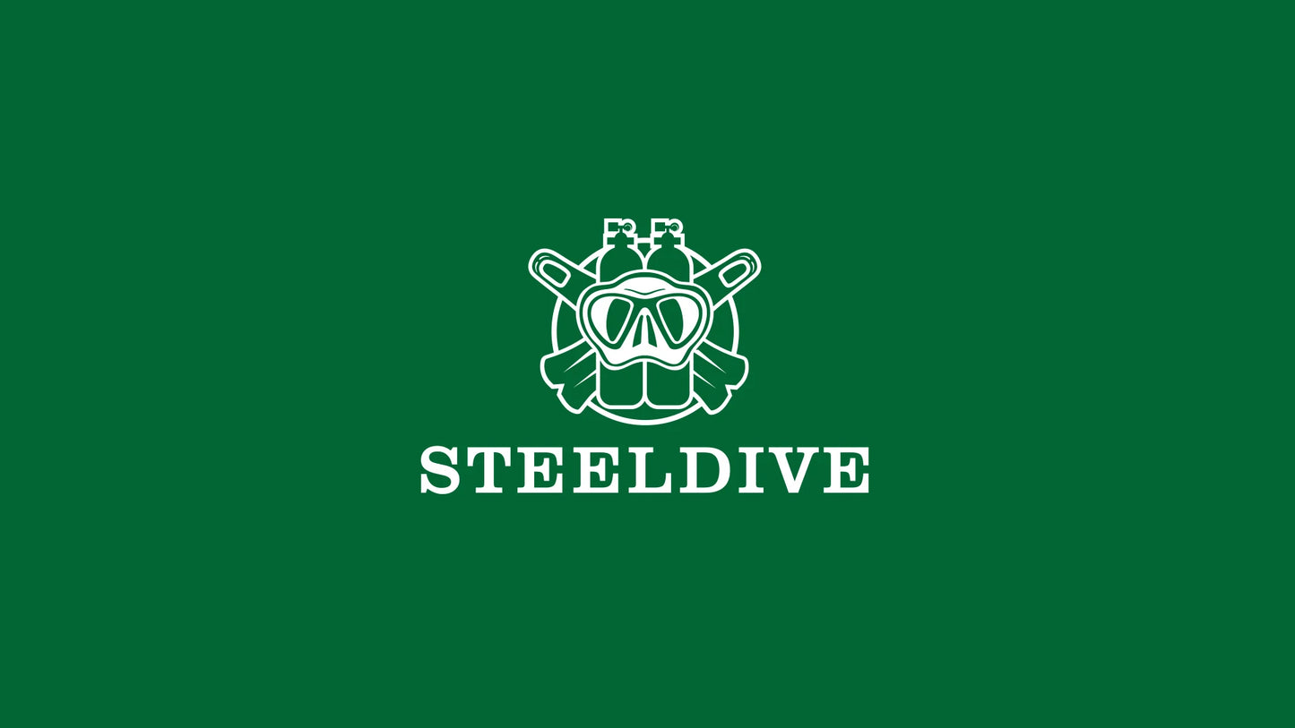 SD1970 New Arrival STEELDIVE Brand 20ATM Water Resistant Ceramic Bezel Insert Sapphire Glass NH35 Automatic Watch 6105 Turtle