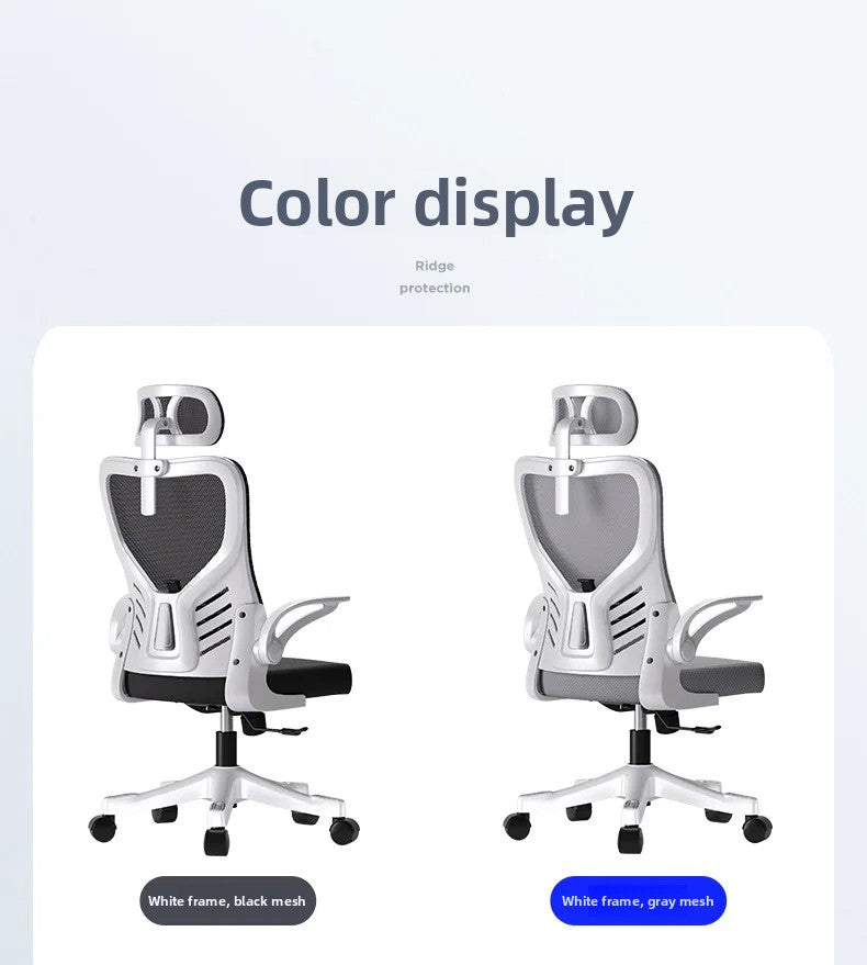 Office chairComputer  Office  Ergonomic  Office Sedentary Learning  Mahjong  Conference  Dormitory