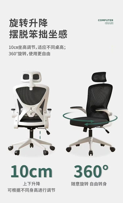 Computer Chair Home Comfort Backrest Lifting Study Chair Office Movable Lunch Break Ergonomic Office Chair