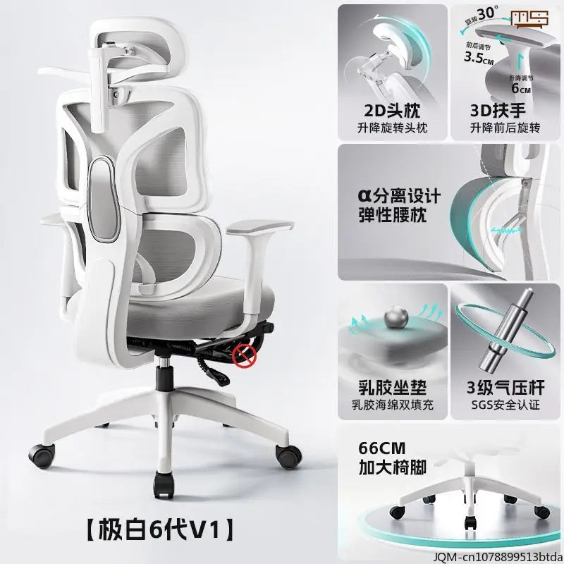 Comfortable Ergonomic Study Chair, Waist Support for Long Periods of Sitting, Lift Chair, Home Computer Swivel Office Chair