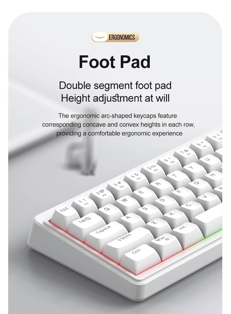 FREEWOLF M68SE 68% Mini Wired Keyboard RGB Backlit Silent Mechanical Feel Type-C Detachable Cable for PC Mac