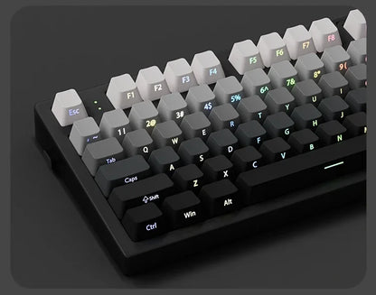 2025 Original Daylight Keycaps PTB Translucent, Side-engraved Oem 136 Keys, Customized To Fit 60/84/98/108 Mechanical Keyboards.