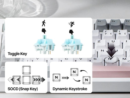 EPOMAKER TH87 ISO-DE Tenkeyless TKL Layout Gasket Wired/Bluetooth/2.4 GHz Wireless Mechanical Keyboard with RGB Backlight