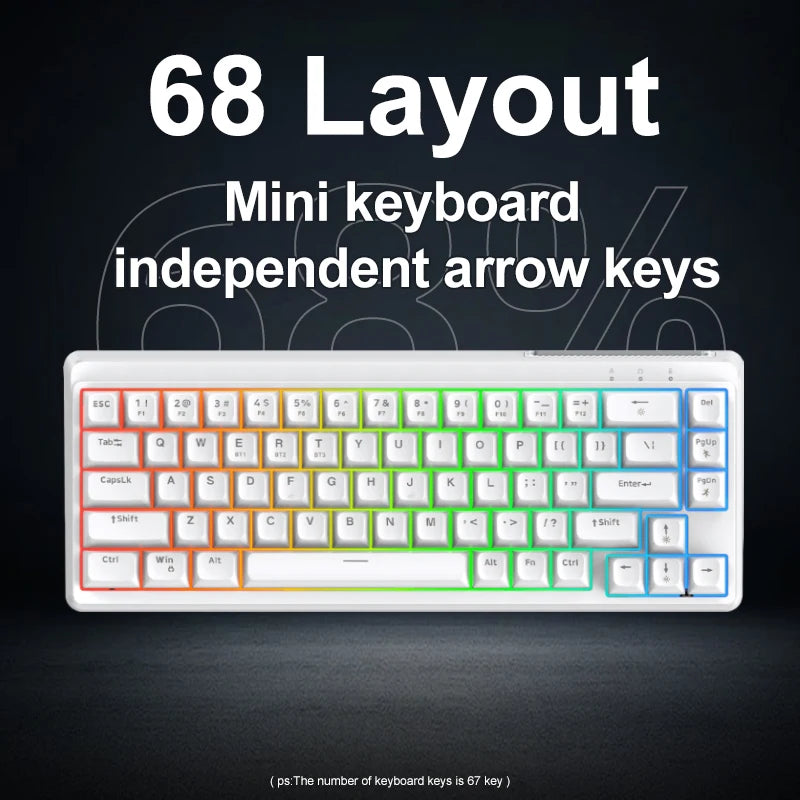 FREEWOLF M68SE 68% Mini Wired Keyboard RGB Backlit Silent Mechanical Feel Type-C Detachable Cable for PC Mac