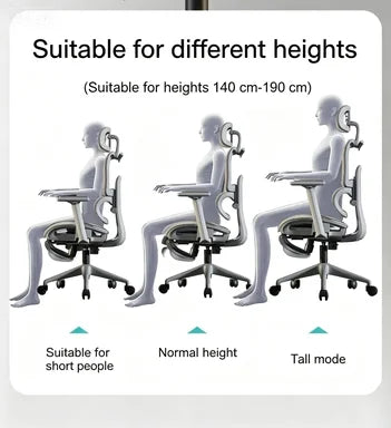 Carpeted Office Chairs Cheap Ergonomic Recliner Chairs Gaming Computer Wheels Free Shiping Adjustable Sedia Da Ufficio Furniture