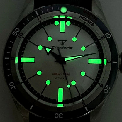 200M Water Resistant Mechanical Wristwatch Miyota 8215 Domed Sapphire Glass 120 clicks Bezel Steel Band Luminous Marks