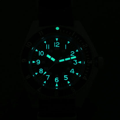 Watchdives WD1972 Quartz Watch VH31 Sweep Seconds Movement Sapphire Crystal BGW9 Luminous 20Bar Waterproof Vintage Men Watches