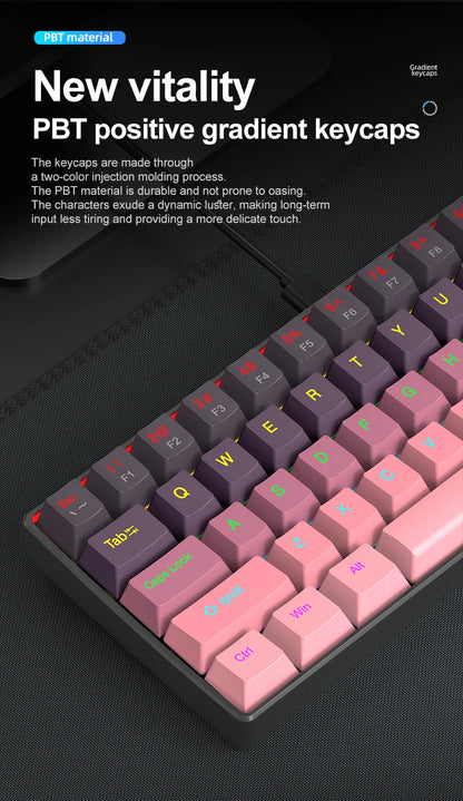 APAYADO K61 Mini Mechanical Keyboard,Wired,61 Keys,Phantom RGB, Black/White Red/Blue Mechanical Switch for Gaming,60% Portable