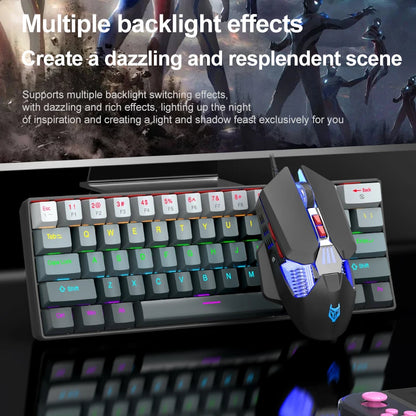 APAYADO K61 Mini Mechanical Keyboard,Wired,61 Keys,Phantom RGB, Black/White Red/Blue Mechanical Switch for Gaming,60% Portable