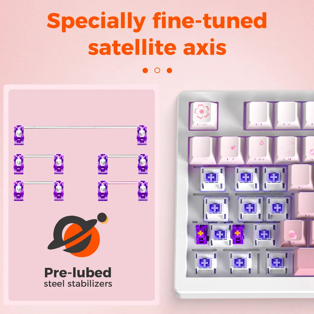 DAREU Tri-mode Gasket Mechanical Keyboard N-Key Rollover Anti-ghosting RGB Backlight Dream switch with Multi Media Button