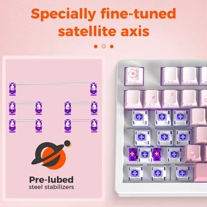 DAREU Tri-mode Gasket Mechanical Keyboard N-Key Rollover Anti-ghosting RGB Backlight Dream switch with Multi Media Button